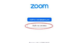Инструкция по работе с Zoom для преподавателей